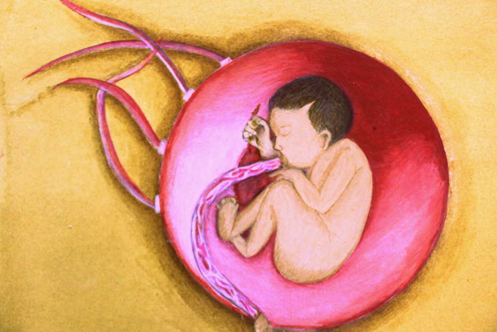 https://www.fatimahsgallery.com/wp-content/uploads/Details-of-Embryo.jpg